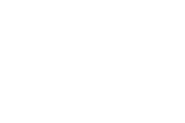   دانلود رایگان فوت عربی Sina Bold